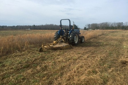 The Importance of Professional Bush Hog Mowing: Quality Results and Property Maintenance