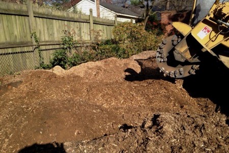 Tree Stump Grinding and Removal: Enhancing Your Yard in Richmond, VA