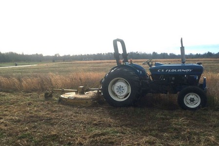 Why Summer Is the Perfect Time for Bush Hog Mowing in Richmond, VA